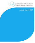 Annual Report Icon