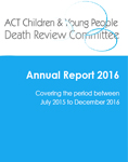 Annual Report Icon